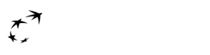 bnp-paribas-logo - Antonia Sautter